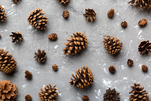 Cônes de pin sur table de couleur fond naturel de vacances avec des pommes de pin regroupées Concept d'hiver à plat