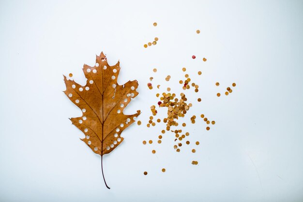 confettis en renard d'automne jauni vacances écologiques