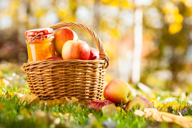 Confiture en pot et panier plein de pommes rouges fraîches sur une herbe. Concept de récolte d'automne