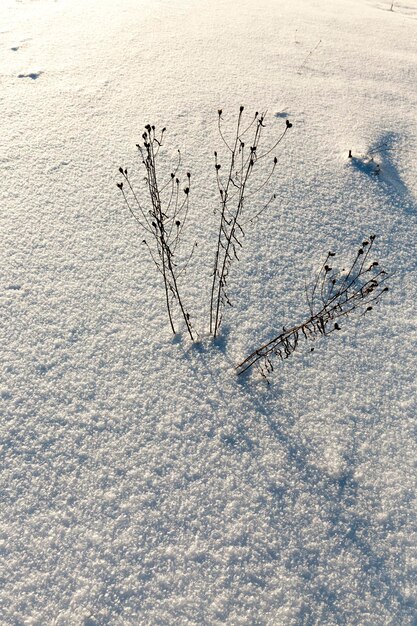 Des congères après les chutes de neige en hiver