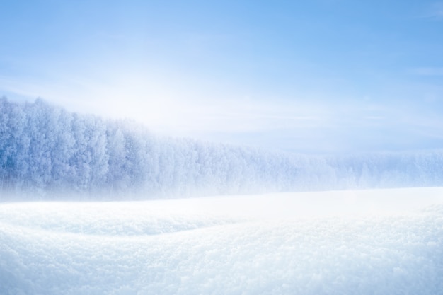 Les congères et la forêt d'hiver un jour glacial ensoleillé