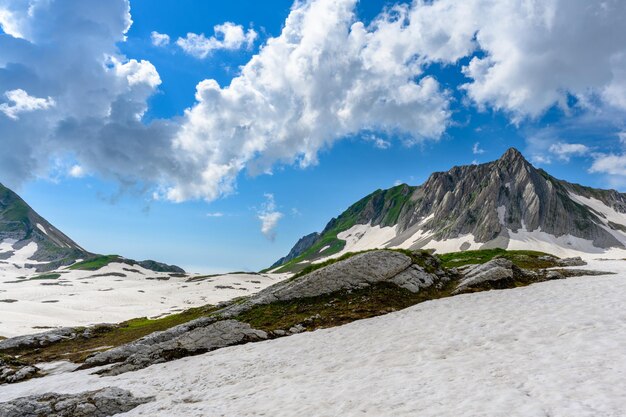 Les congères et l'herbe verte au sommet des montagnes dans la forêt tropicale