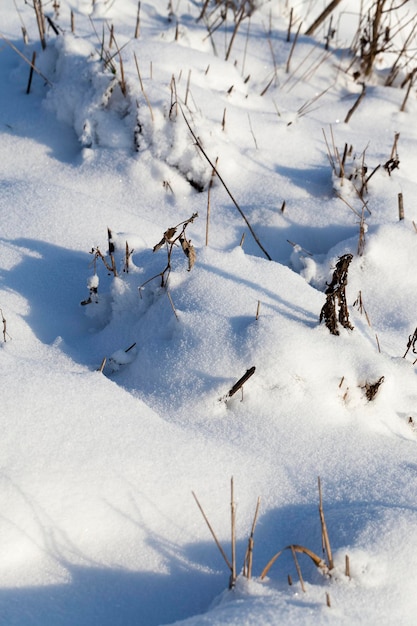 Congères de neige blanche duveteuse en hiver, congères après les chutes de neige en hiver