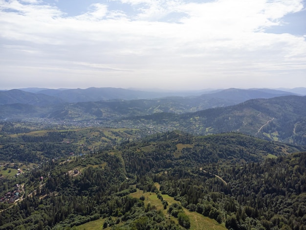 Conifères sur le versant de la montagne. Vue aérienne par drone.