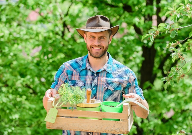 Conseils d'experts en jardinage Entretien du jardin Fermier mature plantant des plantes Saison de plantation Un jardinier barbu tient une boîte avec un pot de fleurs et un outil de jardinage à la houe Conseils de jardinage de professionnels