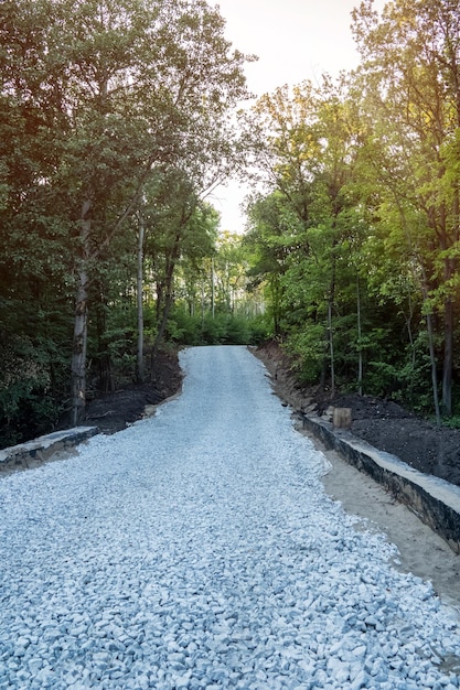 Construction d'une piste de ski-roller sur les pentes forestières.