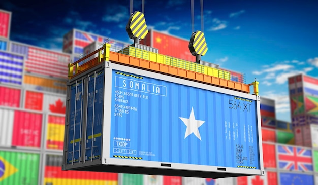 Container de fret avec drapeau national de la Somalie illustration 3D