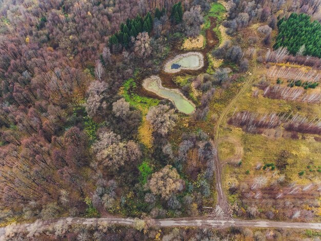 Photo contamination d'une petite rivière dans la forêt