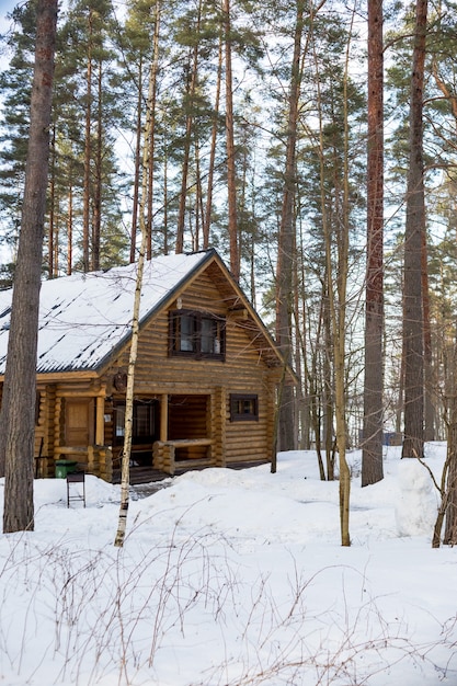 Conte d'hiver. Chalet finlandais dans une belle forêt de neige. Maison de campagne en bois dans la forêt de pins d'hiver, le toit est recouvert de neige, Maison de vacances.