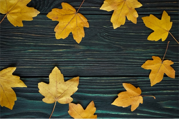 Contexte: feuilles d'érable jaune d'automne sur une vieille planche texturée. Vue de dessus