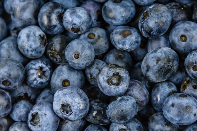 Contexte des nombreux bleuets. Concept d'alimentation saine