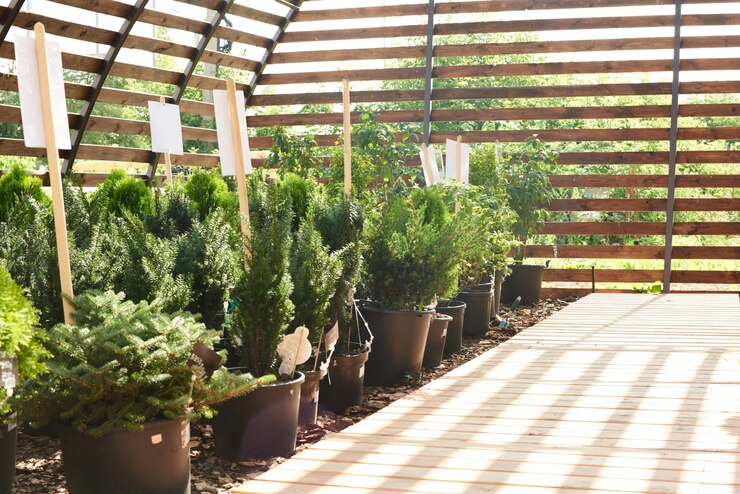 Photo contexte de la plantation
