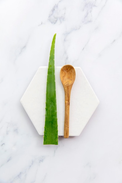 Contexte de santé et de bien-être de la tige d'aloe vera vert naturel