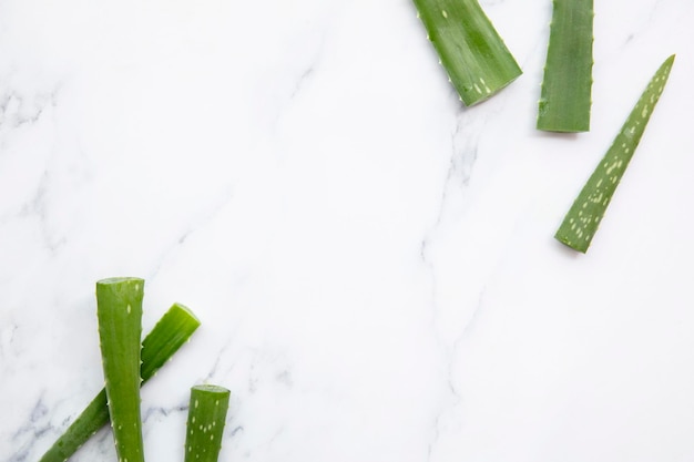 Contexte de santé et de bien-être de la tige d'aloe vera vert naturel