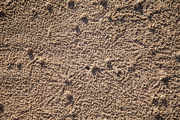 Contexte des traces de petits crabes sur le sable de la plage.