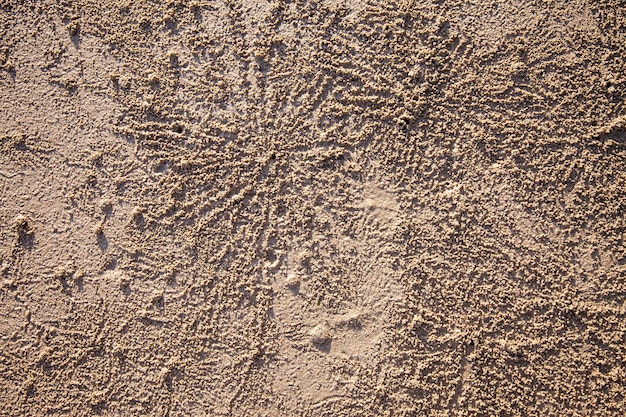 Photo contexte des traces de petits crabes sur le sable de la plage.