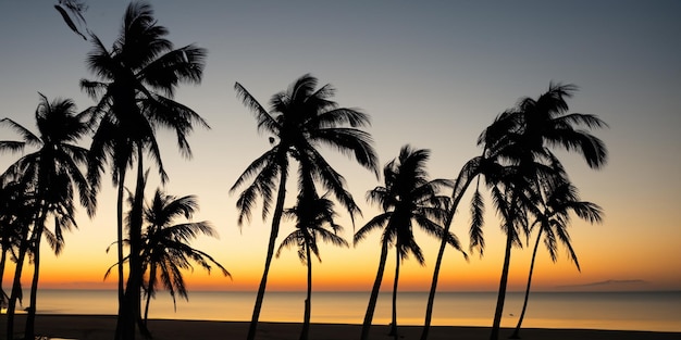 Contre le coucher de soleil éclatant, des palmiers projettent des silhouettes élégantes sur la plage