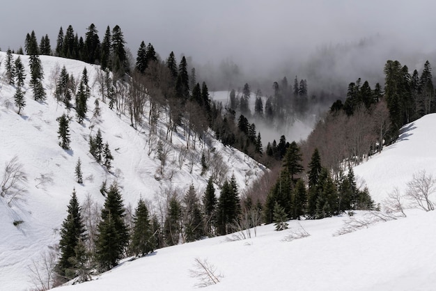 Contreforts enneigés des montagnes du Caucase Krasnaya Polyana Territoire de Krasnodar Sotchi Russie