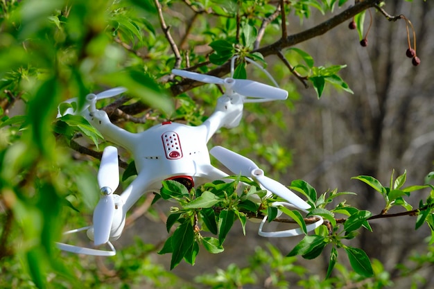 Contrôle des pertes et quadcopter de signal a atterri branche d'arbre