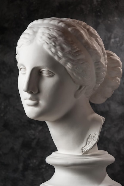 Copie en gypse blanc de l'ancienne statue de la tête de Vénus de Milo pour les artistes sur un fond texturé sombre. Sculpture en plâtre d'un visage de femme.