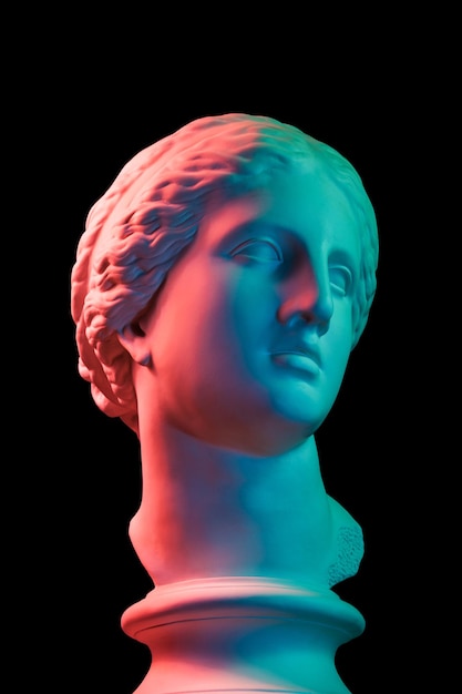 Copie en plâtre de l'ancienne statue de la tête de Vénus de Milo pour les artistes isolés sur fond noir. Sculpture en plâtre d'un visage de femme. Multicolore tonique.