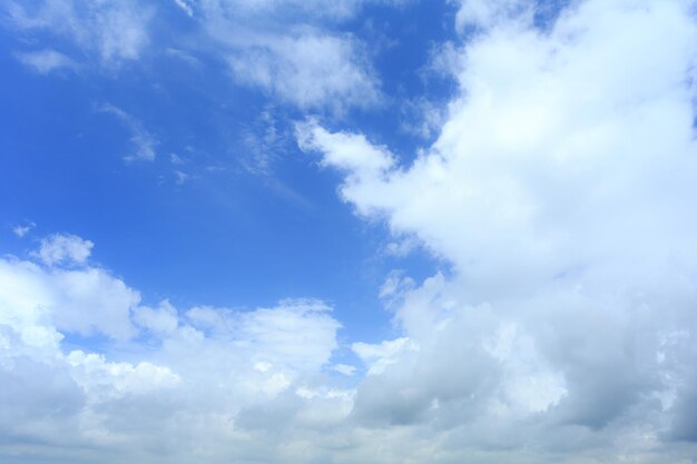 Copiez l'espace ciel bleu d'été et fond abstrait nuage blanc