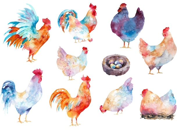 Coqs et poules à l'aquarelle Collage de divers poulets et coqs