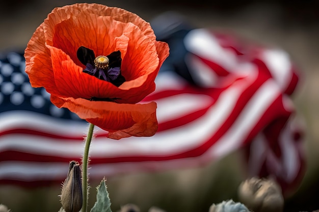 Un coquelicot est devant un drapeau