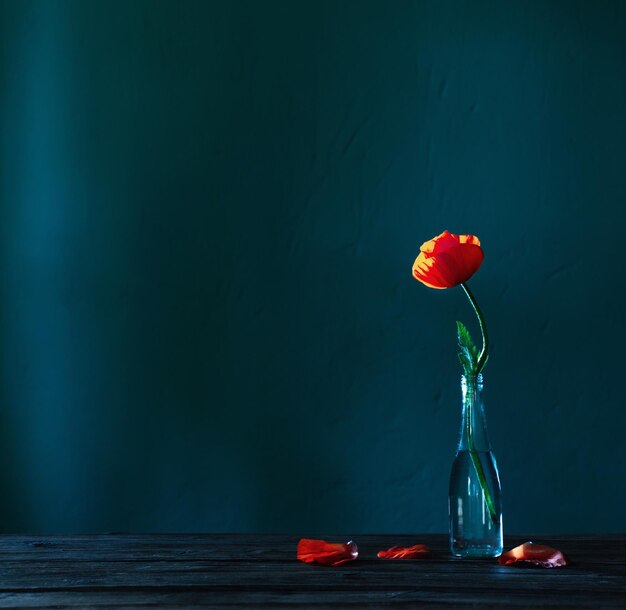 Coquelicot rouge en bouteille de verre sur fond bleu