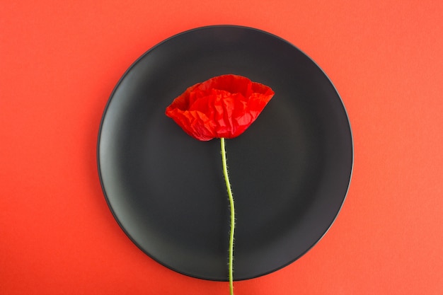 Un coquelicot rouge sur la plaque noire sur rouge