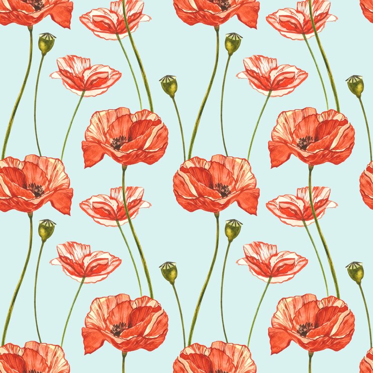 Coquelicots rouges aquarelles.
