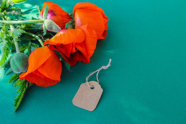 Coquelicots rouges et une étiquette en papier sur fond vert