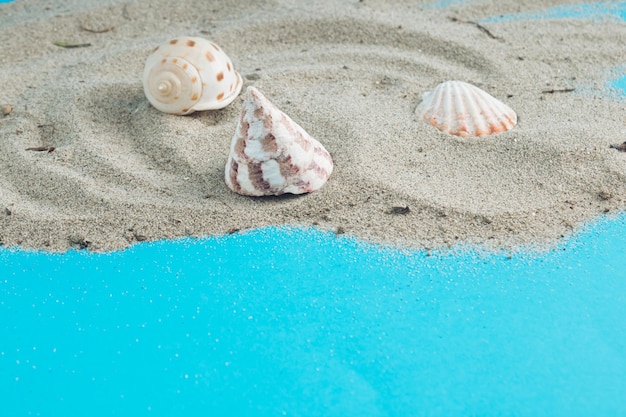 Coquillages beiges éparpillés sur le sable gris comme sur une île déserte sur fond bleu comme la mer