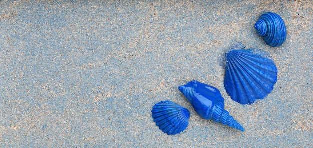 coquillages bleus sur sable bleu