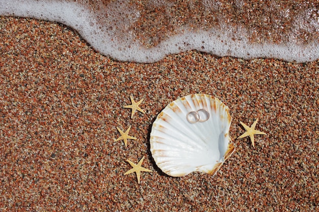 Photo coquillages et étoiles de mer avec anneaux de mariage sur la plage