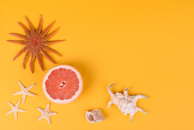 coquillages et étoiles de mer au pamplemousse sur une surface jaune