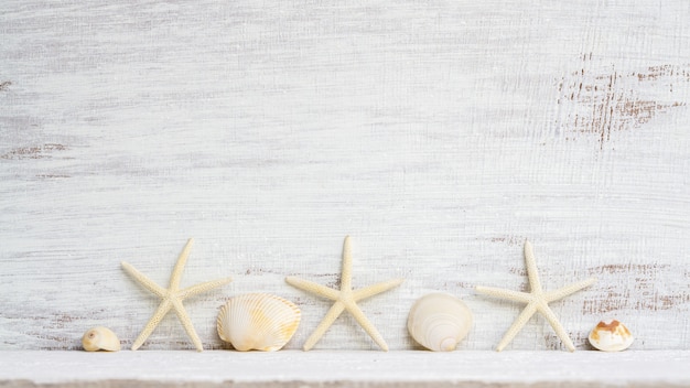 Coquillages et étoiles de mer sur un fond en bois blanc.