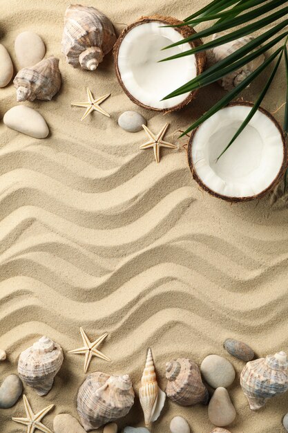 Coquillages, étoiles de mer, noix de coco et branche de palmier sur le sable de la mer, espace pour le texte