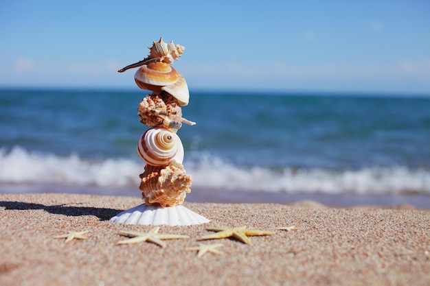 Photo coquillages et étoiles de mer sur la plage