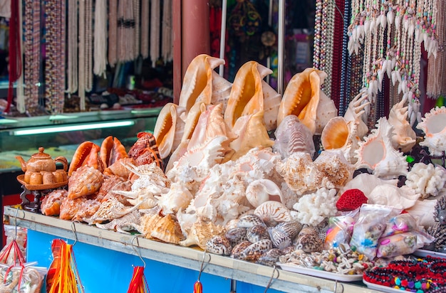 Coquillages exposés au marchand Souvenirs.