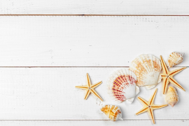 Coquillages sur fond en bois.