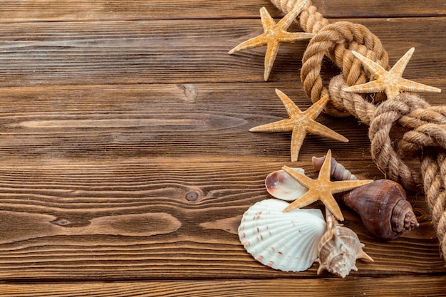 Coquillages frontière sur fond de bois