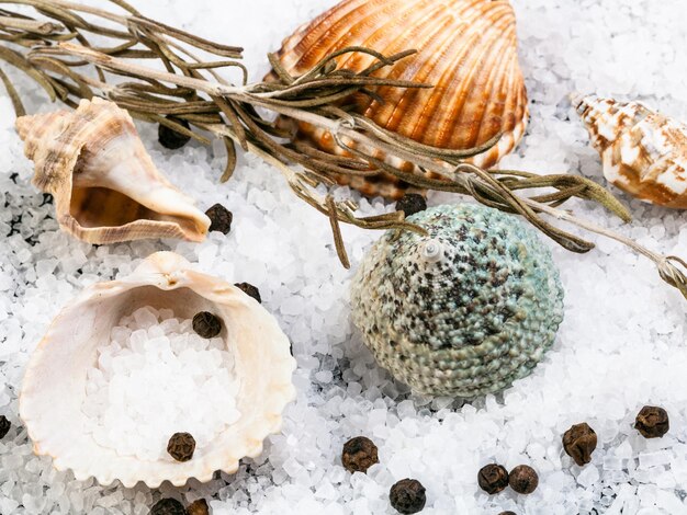 Coquillages à gros grains Sel de mer et poivre