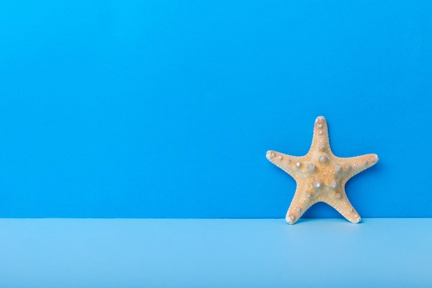 Coquillages de plage sur fond coloré Maquette avec espace de copie