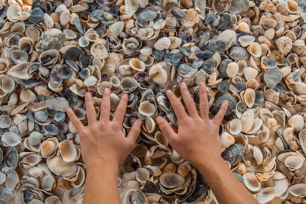 Coquillages de rivière multicolores se trouvent chaotiquement sur le sable à côté de la mer