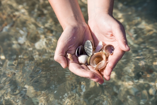 Coquillages et sable, coquillages en mains sur la mer