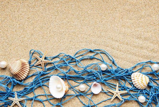 Coquillages sur le sable. Vacances d'été en mer avec un espace pour le texte. Vue de dessus