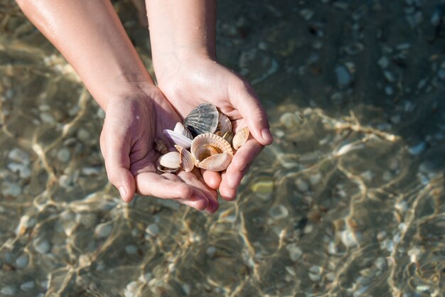 Coquillages et sable