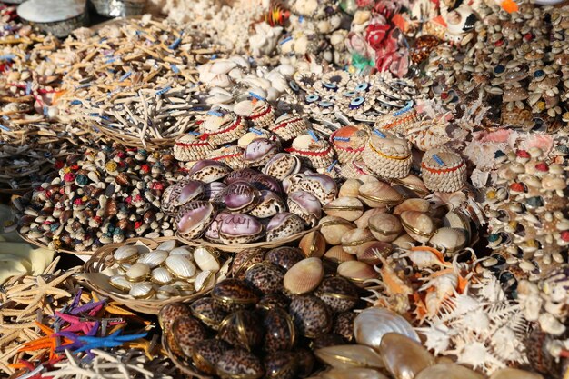 Coquillages souvenirs à Bodrum