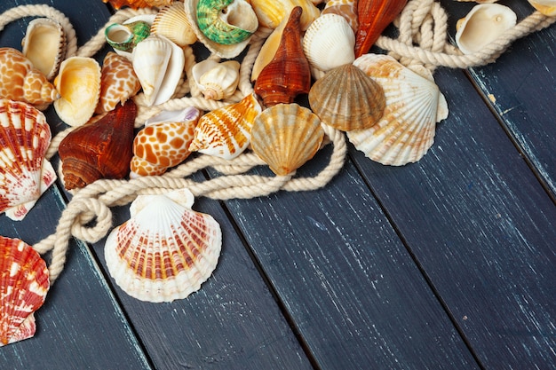 coquillages sur table en bois